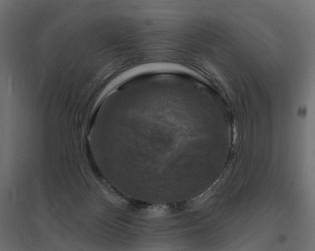 X0000094790124200711241410