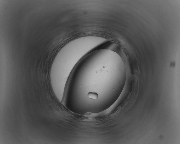 X0000094790125200711241410