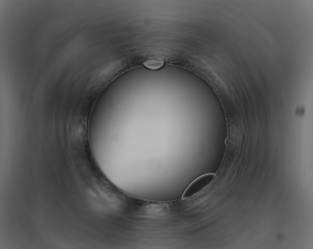 X0000094790126200711241410