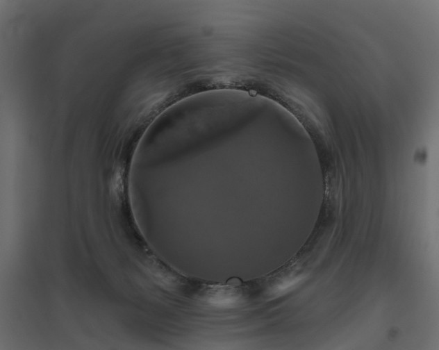 X0000094790127200711241410