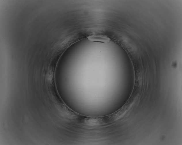 X0000094790129200711241410