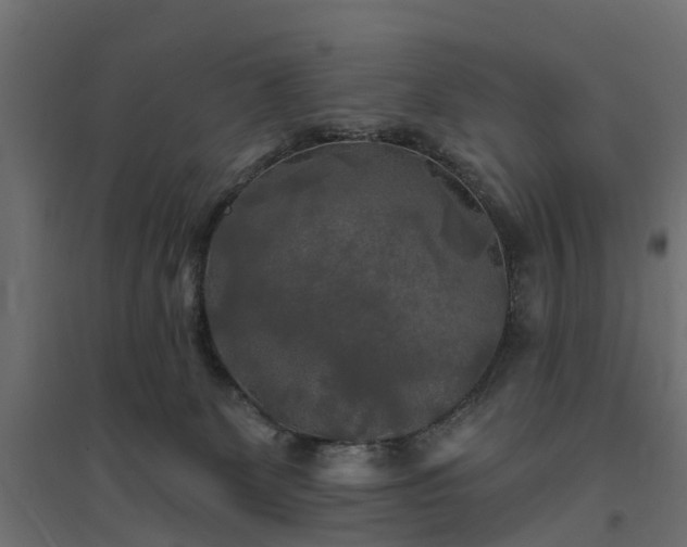 X0000094790131200711241410