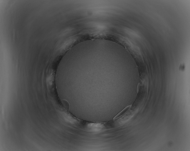 X0000094790133200711241410