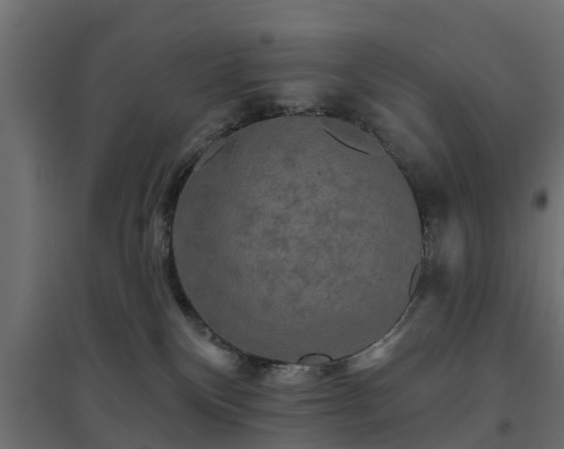 X0000094790136200711241410