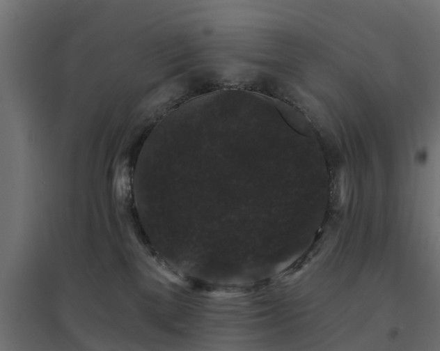 X0000094790137200711241410