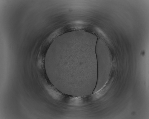 X0000094790140200711241410