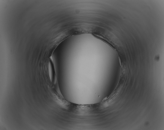 X0000094790141200711241410