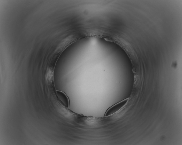 X0000094790142200711241410