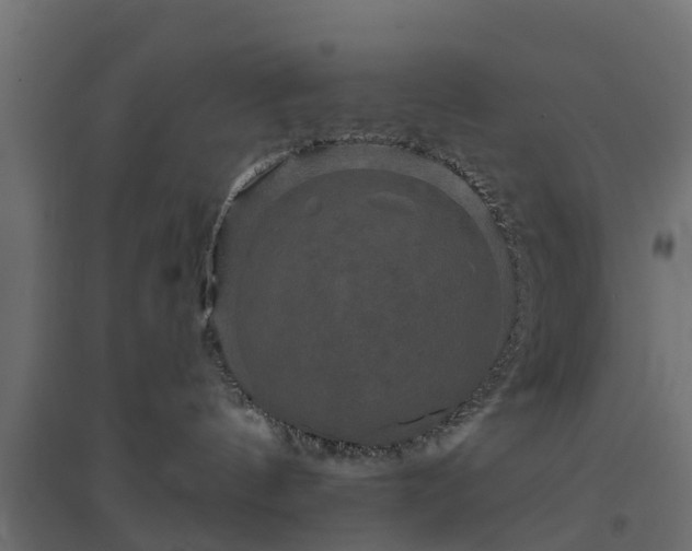 X0000094790144200711241410