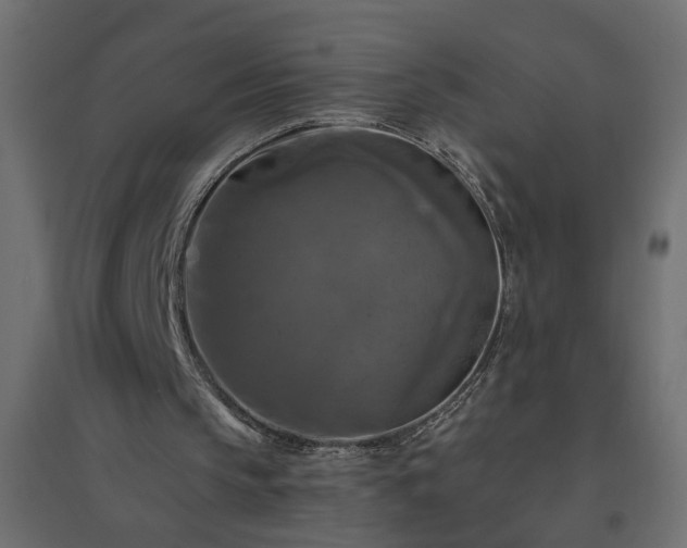 X0000094790145200711241409