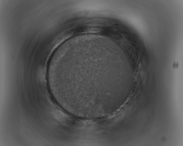 X0000094790146200711241409