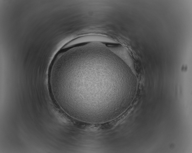 X0000094790148200711241409