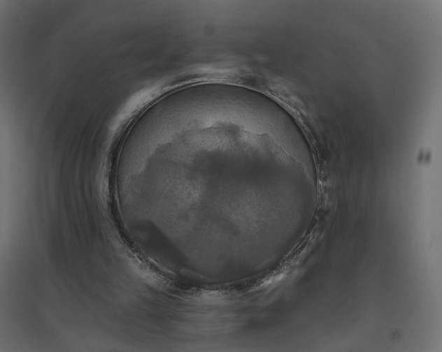 X0000094790149200711241409