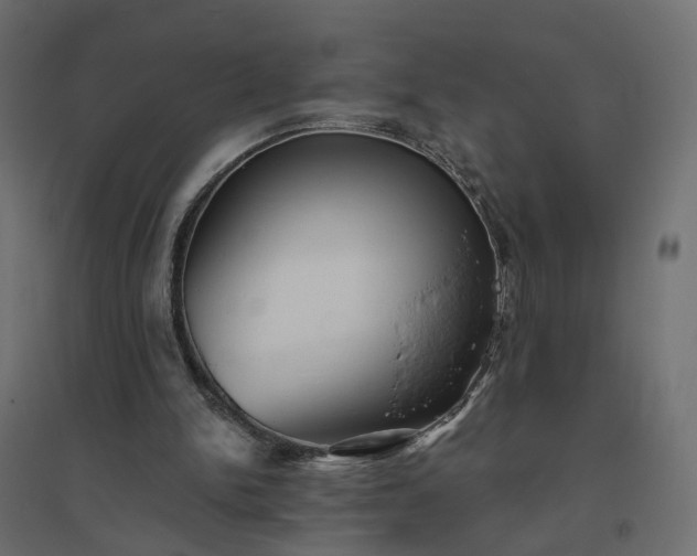 X0000094790150200711241409