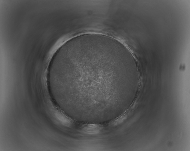 X0000094790151200711241409