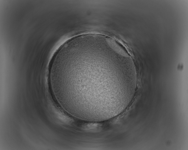 X0000094790152200711241409