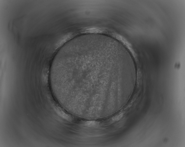 X0000094790153200711241409