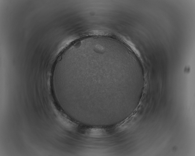 X0000094790154200711241409