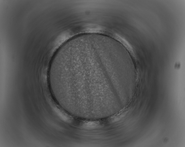 X0000094790155200711241409