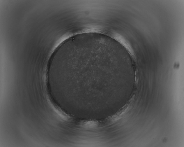 X0000094790156200711241409