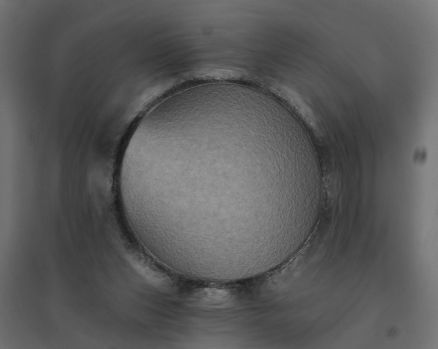 X0000094790159200711241409