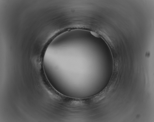 X0000094790160200711241409