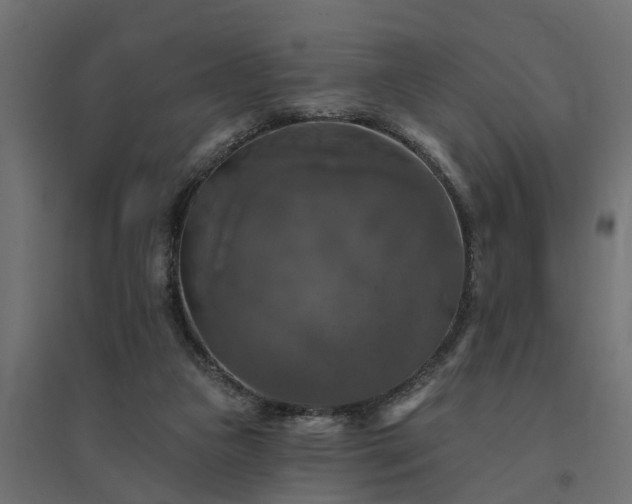 X0000094790161200711241409