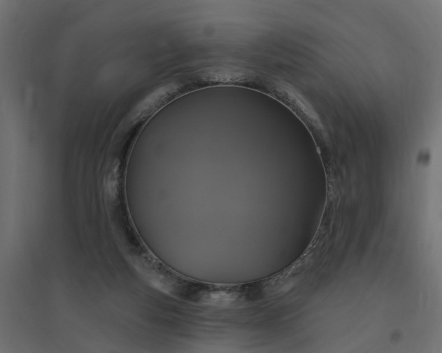 X0000094790163200711241409