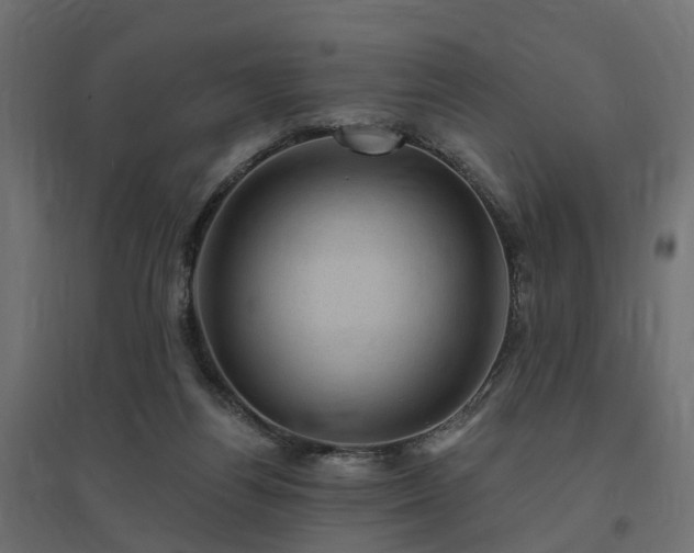 X0000094790164200711241409