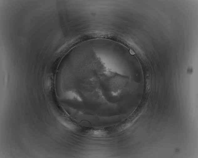 X0000094790165200711241409