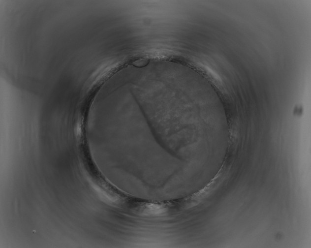 X0000094790166200711241409