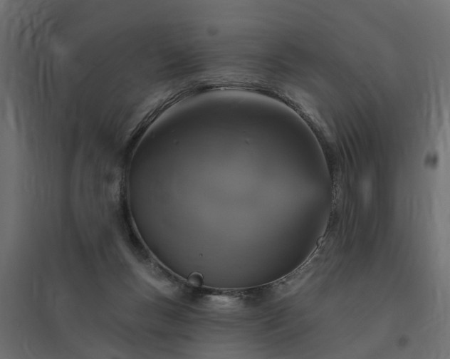 X0000094790167200711241409