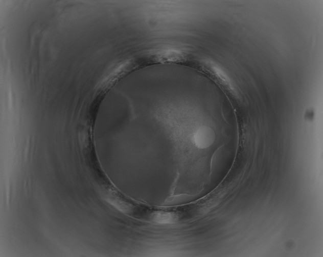 X0000094790169200711241409