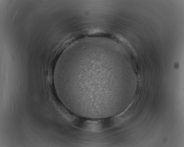 X0000094790170200711241409