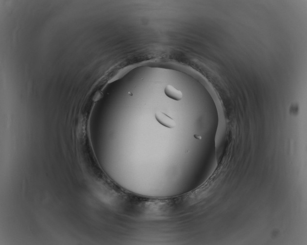 X0000094790172200711241409