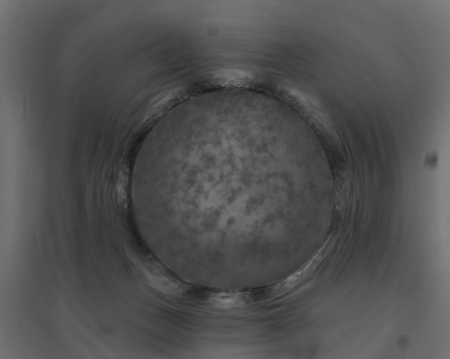 X0000094790175200711241409