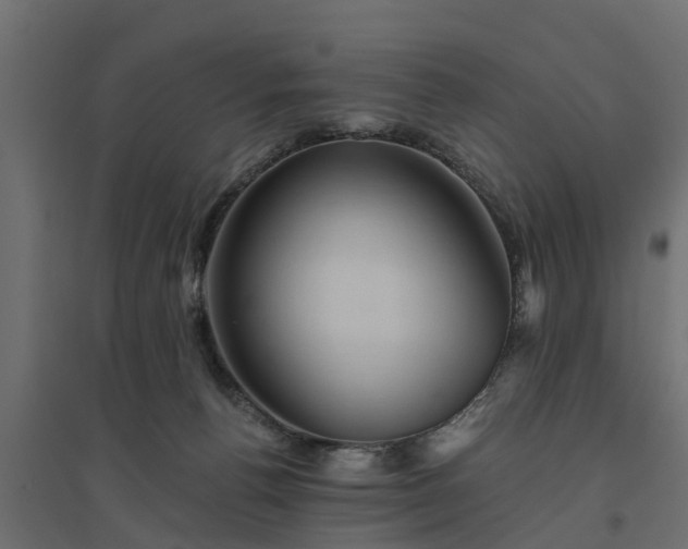 X0000094790176200711241410