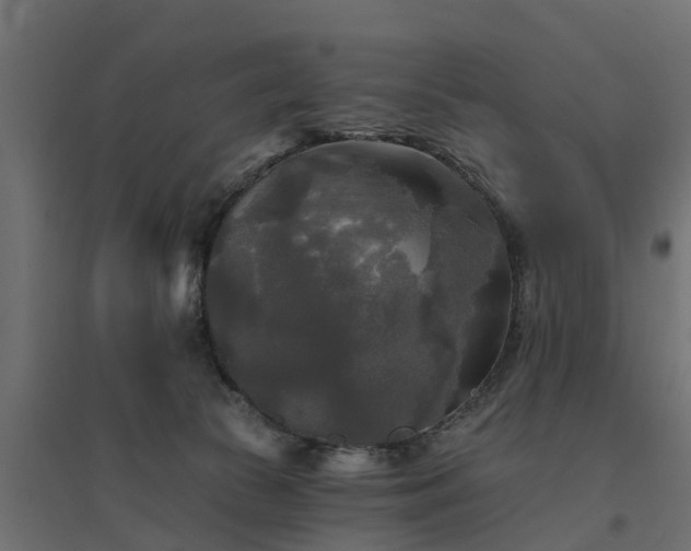 X0000094790177200711241410