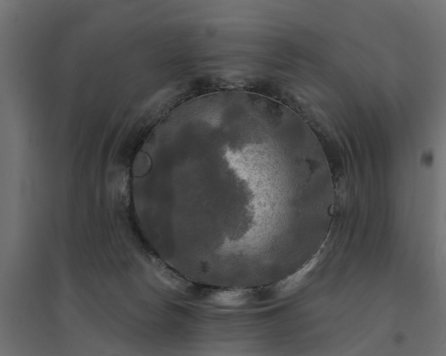 X0000094790178200711241410