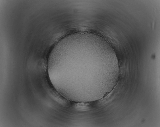 X0000094790179200711241410