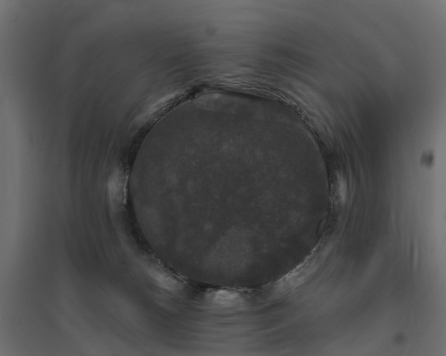 X0000094790180200711241410