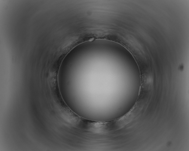 X0000094790184200711241410