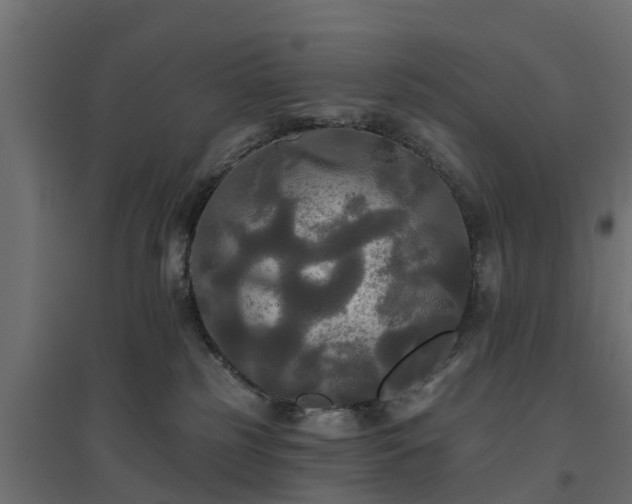 X0000094790185200711241410