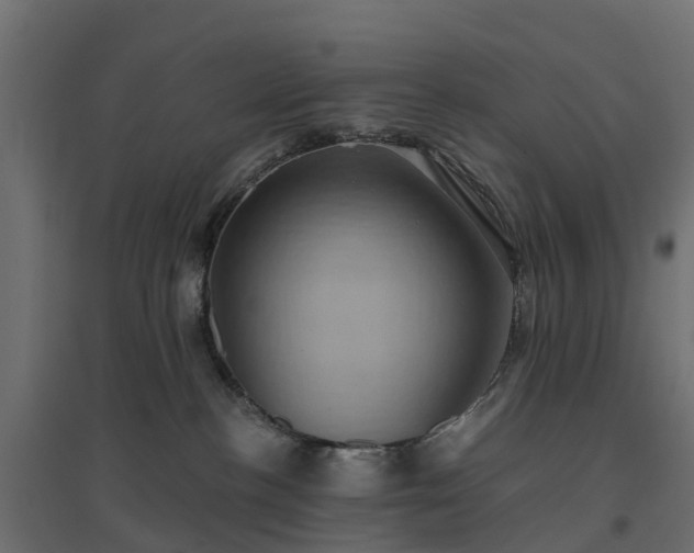 X0000094790188200711241410