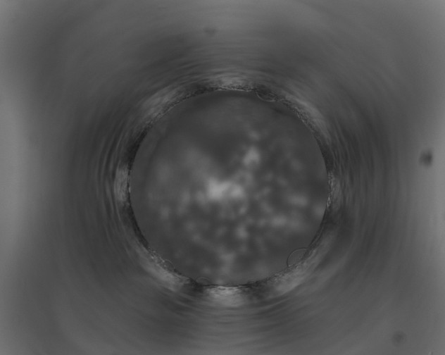 X0000094790189200711241410