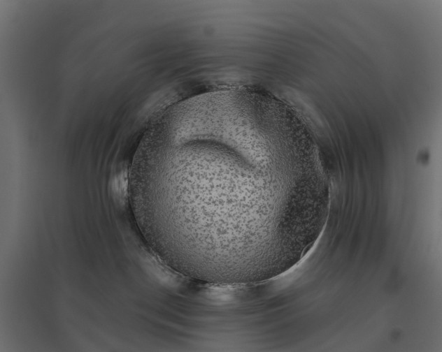 X0000094790190200711241410