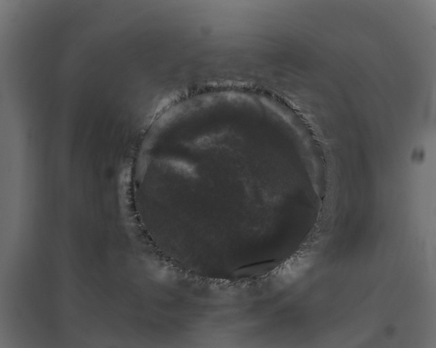 X0000094790192200711241410