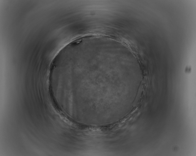 X0000094790194200711241409