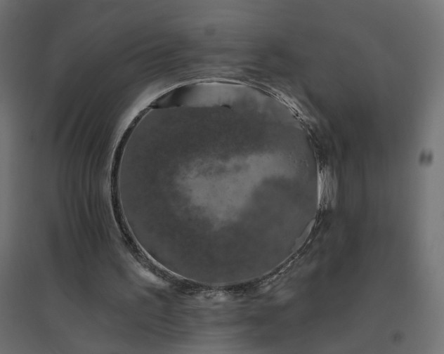 X0000094790195200711241409