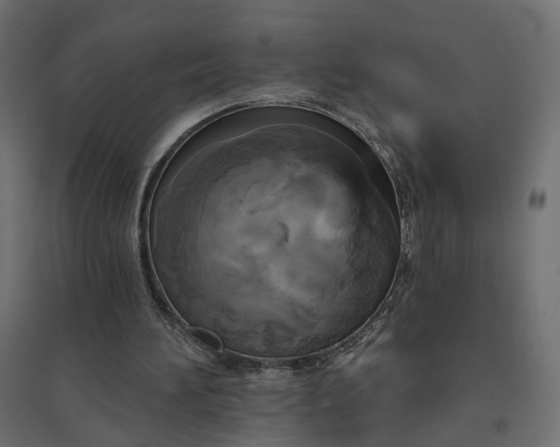 X0000094790196200711241409